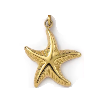 Charm étoile de mer
